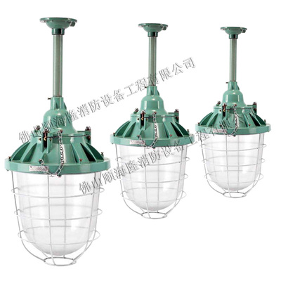防爆灯 100W 125W 250W