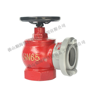 室内消火栓DN50 DN65