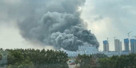 2020%2F0926%2Ffd638d98g00qh8v0000jrd200d9006ng00fm007t.gif